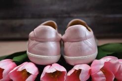 Rock Spring Paljasjalkakengät Harvard Casiopea Rose -Merrell Shop 2001003832795 2